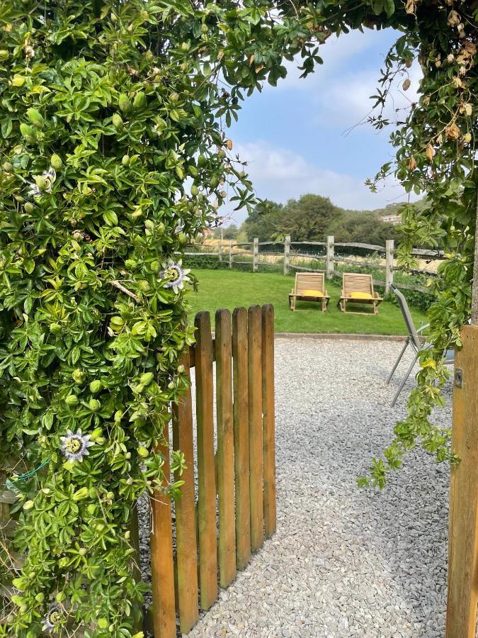 Holmdale Holiday Cottages Rye Exteriör bild